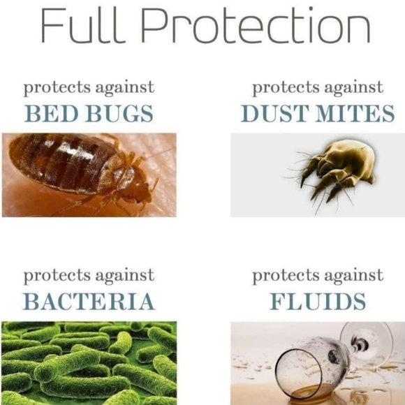 Pillow Protector - Picture 5 of 8